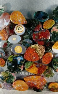 پک ۴۰عددی نگین های عقیق شجر