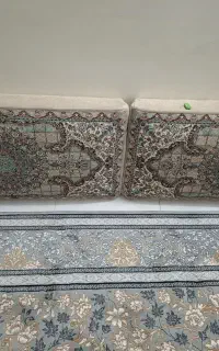 یک جفت پشتی