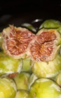 انجیل سفید تازه