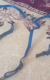 قلاده سگ  نو نو اصلا استفاده نشده طبق عکس