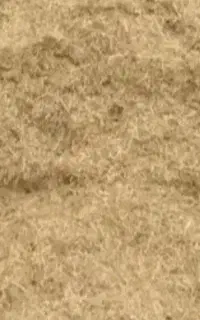 کاه