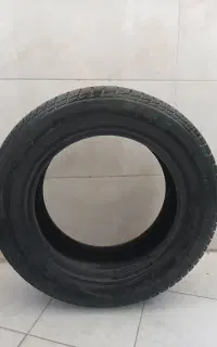 لاستیک استوک