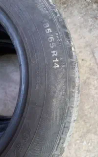 لاستیک گلد استون