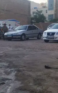 استخدام نیرو کارواش