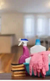 دفتر نظافت منزل وببلاباغ نظافت راپله و مشا عات