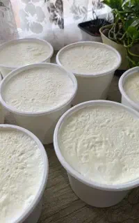 پنیر کره و ماست گاومیش صددرصد خالص و طبیعی