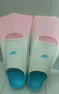 پای فین آبرنگی