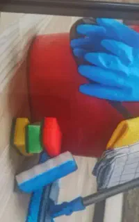 نظافت منزل