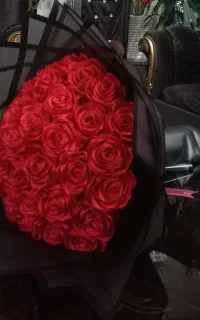 گل رز روبانی