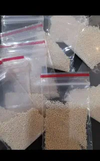 پودر شپش صددرصد تضمینی گیاهی