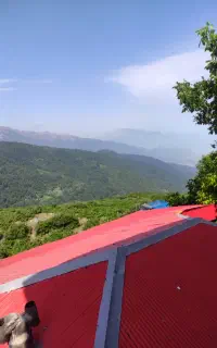 فروش و نصب ایزوگام ( نقد و اقساط)