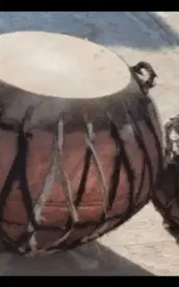 جنس درجه یک