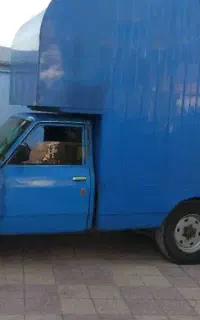 راننده همراه با ماشین