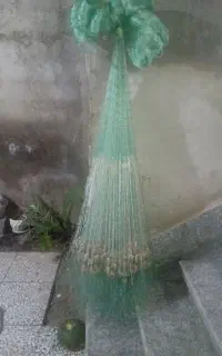 سالیک ۲۱ باز سیمی
