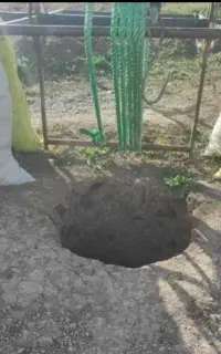چاه کنی و تخریب افغانی