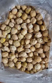 دیمی