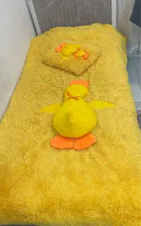 رو تختی یک نفره