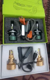 دوجفت  هدلایت در نخل تقی
