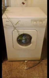 لباسشویی ابسال