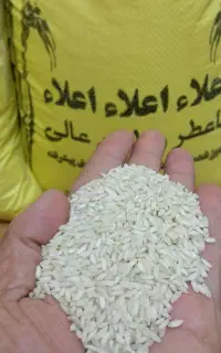 فروش‌برنج‌نیم دانه‌ودانه‌کامل‌عنبربواصل‌شوشتر