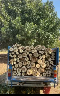 خریدار انواع چوبهای باغی