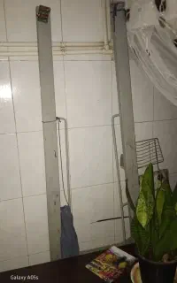 دار قالی زر و نیم