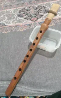 سازدهنی
