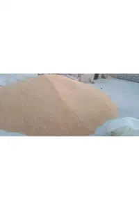 گندم باران