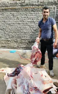 قصاب قصابی سیار کوسفند قصابی گاوه