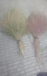 جارو