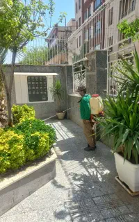 خدمات باغبانی سم پاشی هرس کاری سمپاشی پیوندزنی