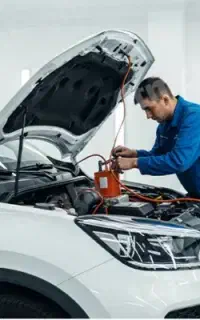 جویای کارم