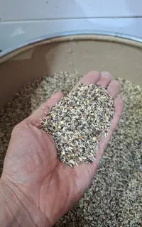 شاهدانه. شادونه. شاهدونه. هفت تخم سهره