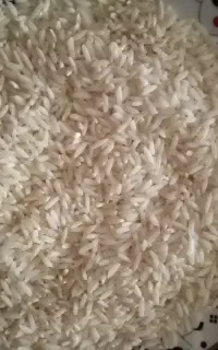 30 کیلو برنج طارم هاشمی کشت اول تولید شخصی