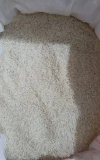 برنج هاشمی درجه ۱
