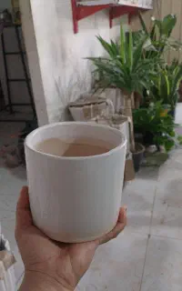 گلدان