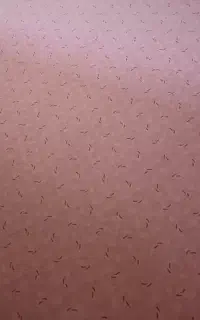 پالاز موکت