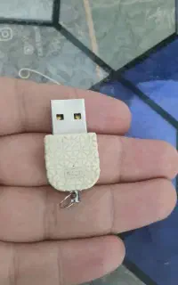 فلش،