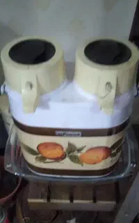 فلاکس دوقلوی ژاپنی