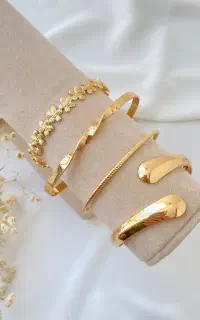 بدلیجات و اکسسوری