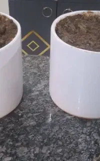 دوتا  گلدان ۴۰۰ هزار با خاک