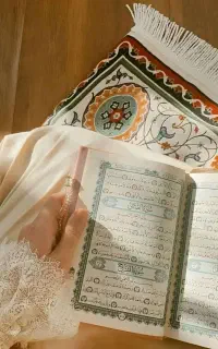 سه عدد پتو نو تابان اصل دارم