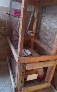 قفس