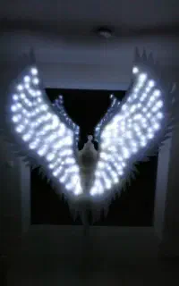 بال فرشته