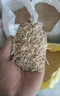 ۲تن جو و گندم قاطی