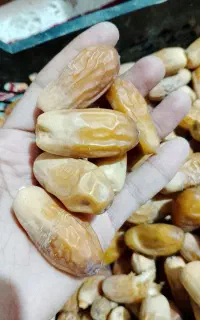 خرما پیمازو