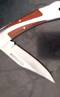 کلمبیا تاشو