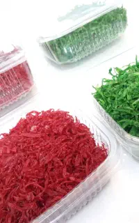 سبزی پاک شده عمده با دست مزد