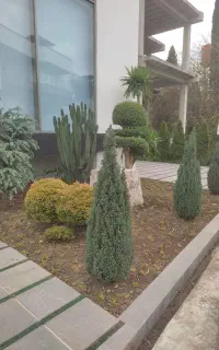 مهندسی اجرای فضای سبز گلکاری هرس سمپاشی