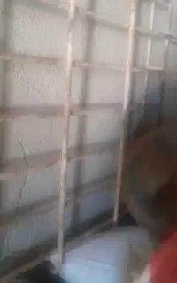 باربند  پیکان محکم  وسبک